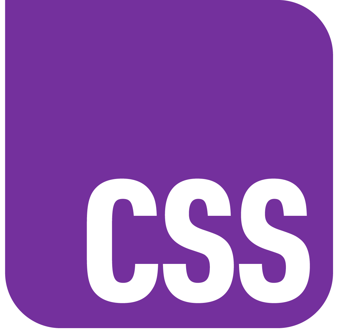CSS Logo